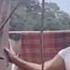 Rhoma Irama Noer Halimah Terkesima HD Original Music Video