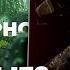 НЮБЕРГ слушает Смешарики Огурец Phonk