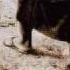 MODENA CITY RAMBLERS CANZONE PER UN AMICO FRAGILE Wmv
