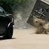 Don Omar Danza Kuduro Ft Lucenzo FAST FURIOUS Chase Scene 4K