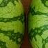 Just Look At These Points To Pick Fresh Juicy Watermelons