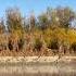 Река Каратал Природа Казахстана Жетысу Семиречье Karatal River Уштобе