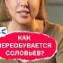 Как переобувается Соловьев
