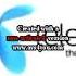 Telenor Logo History 1990 Present