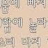레몬트리 Lemon Tree 박혜경