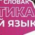 Словацкая грамматика Произношение склонения времена имена существительные