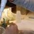 Ecological Methods 2 A Special Course Wageningen UR