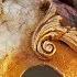 Venetian Mask Tutorial Part 2 Of 3 Featuring The Magic Of Venezia