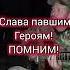 Наша жизнь как миг Штурмовик сегодня новости вдв сво курскаяобласть