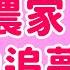 漫畫推薦 EP5 曾在北海道務農7年的漫畫家 鋼之鍊金術師 與 銀之匙 就是這樣誕生的 百姓貴族 荒川弘的漫畫之路 豬鼻子聊漫畫家 1 荒川弘