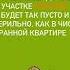 Муравьи на садовом участке осторожно