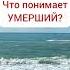Приснился Я не умер я живой