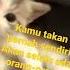 Asmr Kamu Takan Pernah Sendiri
