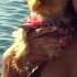 Красивые девушки отдыхают на яхте Sexy Girls On A Yacht