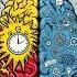 Thinking Fast And Slow Book Review Self Help Magic Reads Shorts Bookreview