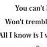 Naomi Scott Speechless Lyrics