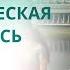 Утренняя медитация энергетическая сила на весь день Секрет успеха Музыка для медитаций Сиддхи