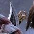 God Of War 4 Финальный бой с Бальдром