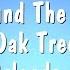 Tie A Yellow Ribbon Round The Ole Oak Tree Tony Orlando Dawn Karaoke Version