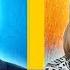 НЕФТЬ НИЖЕ 40 НАГЛОСТЬ ПУТИНА И СТРАННОЕ ПОВЕДЕНИЕ ТРАМПА Владимир Милов
