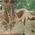 Yemi Alade Dancina Official Video