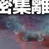 北京官員爆料 中共高層爆發染疫 大量老幹部突發密集去世 國際風雲