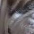 Bulldog Is Trying To Sleep