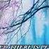 Beautiful Nasheed Ever The Good Is Still Alive It Has Not Stopped