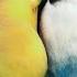 Suara Lovebird Ngekek 15 Detik Jeda 10 Detik Suara Jernih Pancingan Lovebird