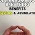 Dhyana Yoga Mudra Benefits Meditation Hand Gesture