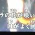 常夜の国の遊びかた まふまふ 歌ってみた