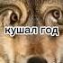 не урыл а закопал ауф смешно мем