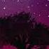 Desert Rose Lolo Zouaï Audio Made By Shovvaxaa On TikTok Looped