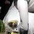 TOYLAR MUBORAK BOLSN YOR YOR ZOR TV