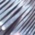 Mbira Music Master Piece Live