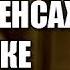 СЕРГЕЙ САВЕЛЬЕВ О боге экстрасенсах и науке 2017