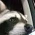She Likes A Boy Nxdia Sped Up Lyrics In Desc Ems Urfavpookie