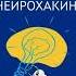 Книжка за минутку Нейрохакинг Виллемайер Кристен Толанд Сара Shorts