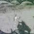 Snake City Tell You I M Sorry
