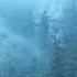 WOLVES IN THE THRONE ROOM Diadem Of 12 Stars Official Audio