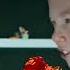 Дикие скричеры 5 линейка Фьюжен трансформация Screechers Wild
