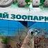 Новосибирский ЗООПАРК им ШИЛО Новосибирск новосибирск зоопаркновосибирск