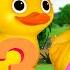 5 Little Ducks On A Bus Little Baby Bum Nursery Rhymes For Kids Baby Song 123