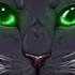 Коты воители Остролистая Tag You Re It