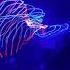 Armin Van Buuren Turn It Up Official Liryc Video Mix Re Edit Pro Party