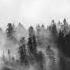 Black Metal Drum Track 83 BPM