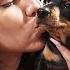 LE REGALO UN PERRO A MI NOVIA Y CASI LLORA Sorpresa Seguimos Juntos