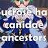 What Animal Is Sucrose Genshin Impact