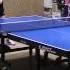 SPINLORD Marder III Max Rubber Test Fast Topspin On Sword 309 Def Table Tennis Tischtennis