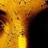HD Gabry Ponte The Man In The Moon